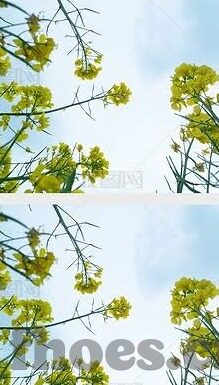 18禁AV麻豆-视频影像的界限与道德考量，18禁AV麻豆的警示