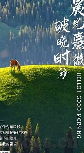 董小宛果冻传媒麻豆-朱唇轻启，细语呢喃间——董小宛果冻传媒与麻豆文化的视觉盛宴