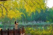 麻豆系列国产剧情av-解开麻豆系列国产剧情av的影像探秘
